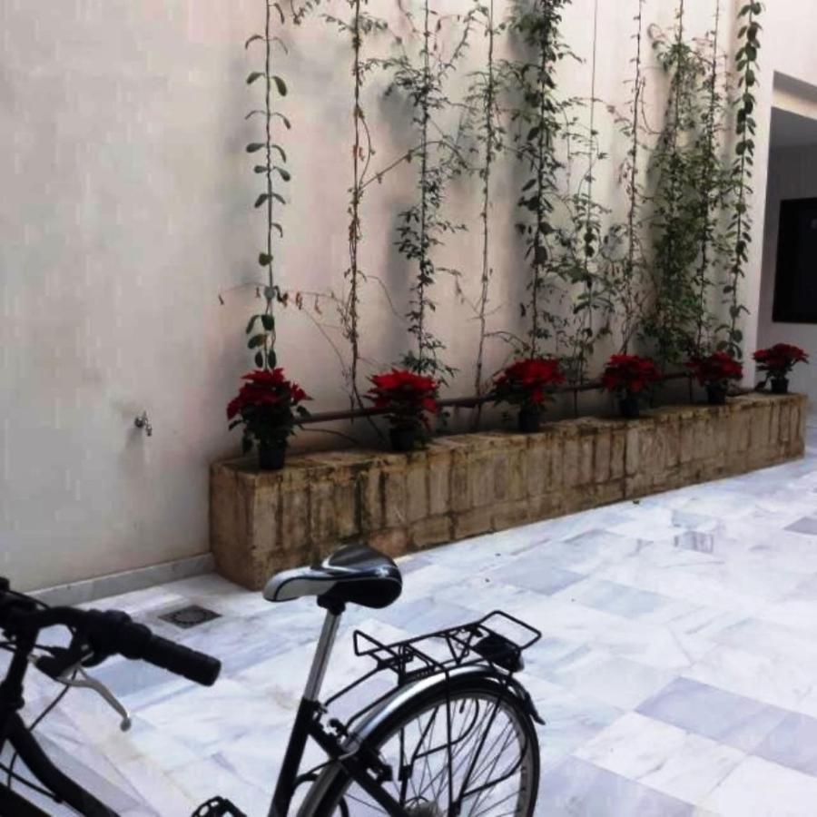 Estudio En Pleno Centro De Sevilla By Msholidays Zewnętrze zdjęcie